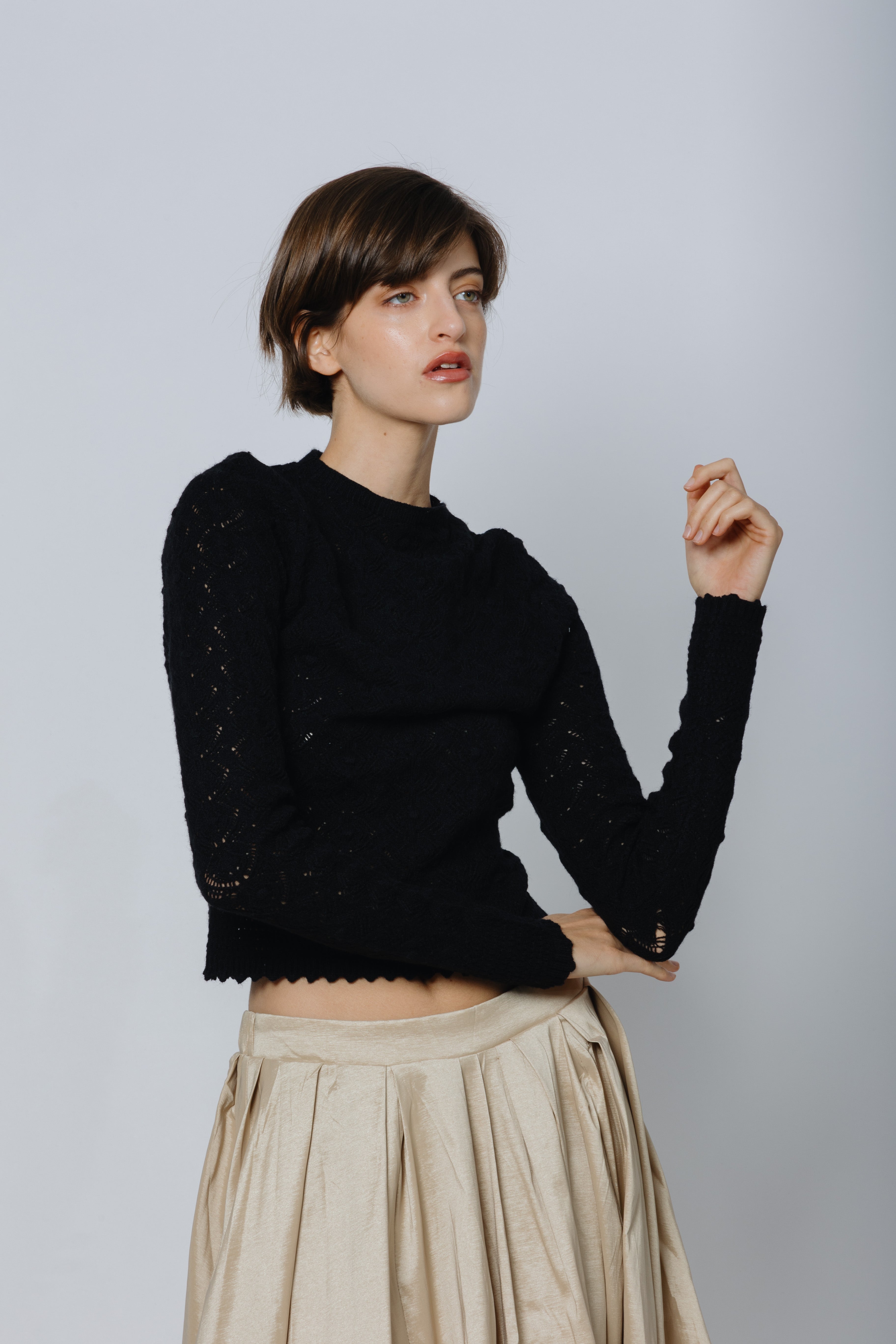 סריג פויינטל צרפתי